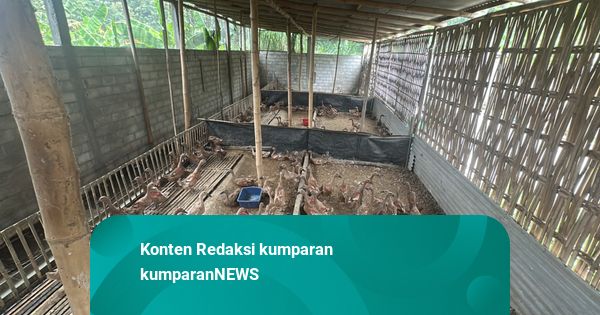 Omzet Perajin Telur Asin Naik 3000-4000 Persen karena Program MBG