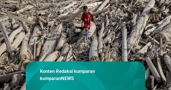 Pimpinan DPR soal Nasib Gelondongan Kayu di Sumatera: Mendagri Koordinasikan