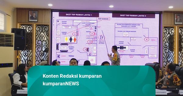 Psikolog Soal Anak SD di Medan Bunuh Ibu: Hubungan Adik dan Kakak Sangat Erat