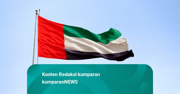 UEA Tepis Tiga Drone, Satu Jatuh di Dekat PLTN Picu Kebakaran