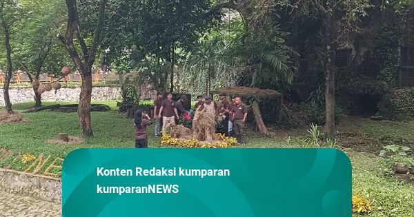 Cerita dari Ragunan dan Cara Sederhana Keluarga Menyambut Hari Pertama 2026