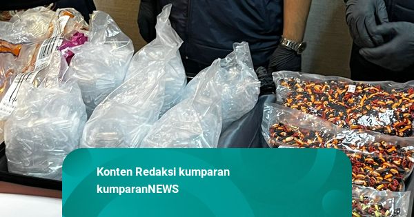 BNN Ungkap Bahaya Etomidate: Menekan Saraf Otak hingga Picu Kematian