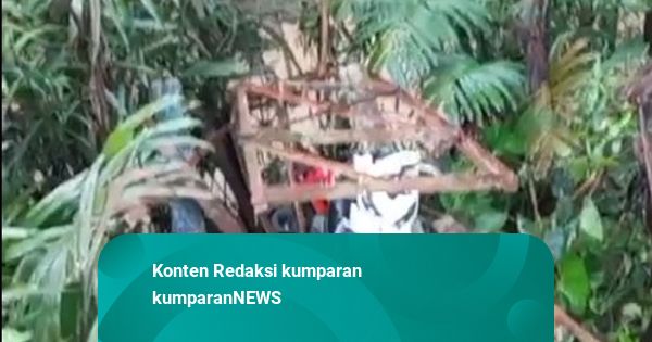 Jembatan Gantung di Lebak Ambruk, 5 Pelajar Jatuh ke Sungai