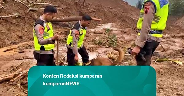 Korban Longsor Pemalang Belum Ditemukan, Polisi Terjunkan Anjing Pelacak