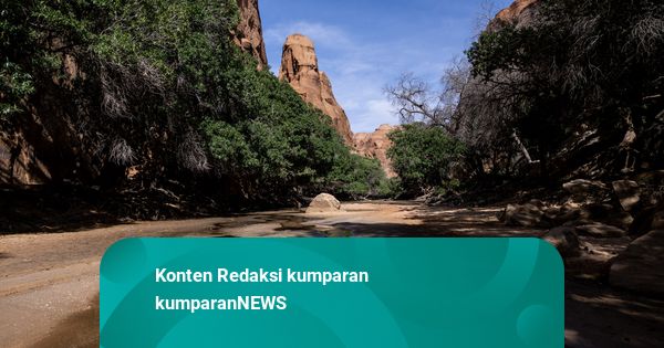 Foto: Melihat Oasis Tempat Hilangnya Seorang Turis Paruh Baya di Chad