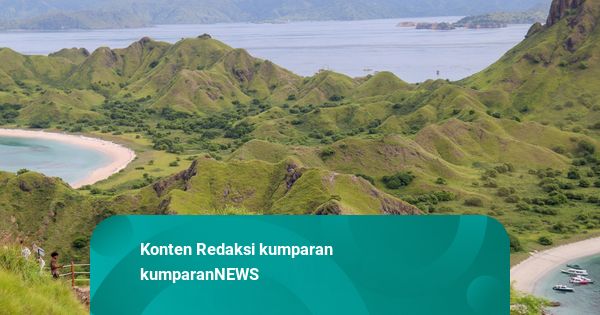 Penjelasan Kepala BTNK soal Wisatawan ke TN Komodo Dibatasi 1.000 Orang Per Hari