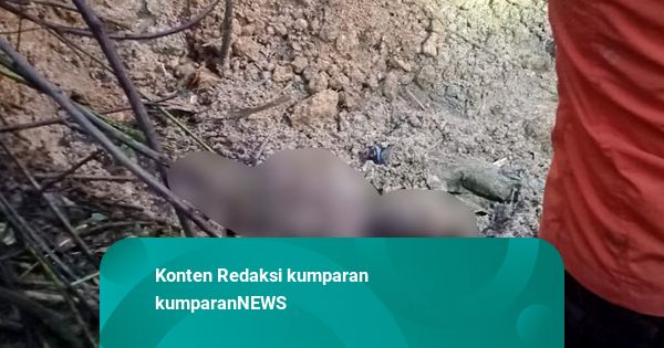 Hujan Deras Picu Longsor di Deli Serdang: 5 Orang Tewas, 6 Rumah Roboh
