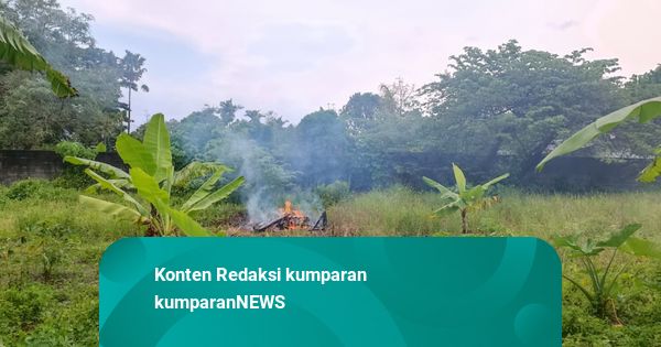Cerita Warga di Bali Masih Bingung Kelola Sampah, Terpaksa Membakar