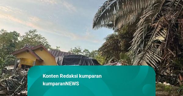 Ibu Pengantin Tewas saat Pohon Tumbang Timpa Tenda Pesta Pernikahan di Bone