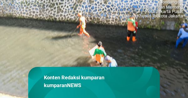 Tak Hanya Jakpus, Operasi Tangkap Sapu-sapu Diperluas ke Seluruh Wilayah Jakarta