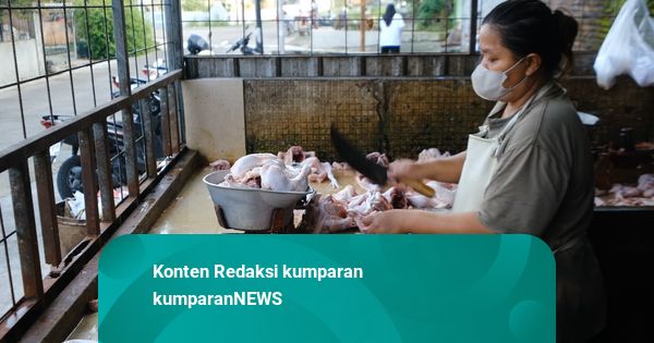 Dapur MBG Dongkrak Produksi UD Syafina di Karanganyar, Tembus 2,3 Ton per Hari