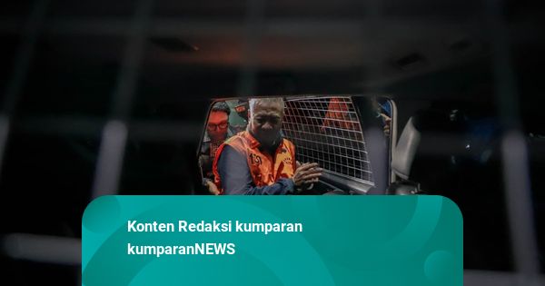 Bupati Tulungagung Usai Ditetapkan Sebagai Tersangka: Mohon Maaf