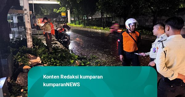 BPBD: Pekan Ini 3 Kali Pohon Tumbang di Kebagusan Jaksel, Timpa Mobil-Rumah