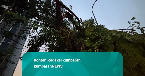 Setelah Angin Kencang dan Hujan Lebat Terjang Jakarta