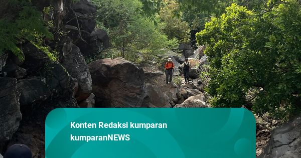 Kakek Hilang di Taman Nasional Baluran, 7 Hari Dicari Tak Ketemu