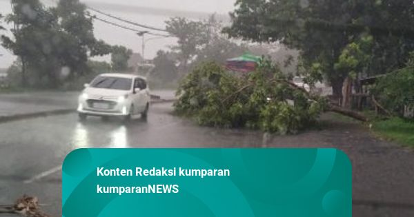 Angin Kencang di Mojokerto: Reklame Roboh, Pohon Tumbang, Atap Indekos Rusak