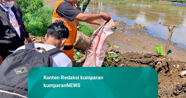 Pemkot Tangkap 38 Kg Ikan Sapu-sapu di Kali Cideng, Dikubur Jauh dari Permukiman