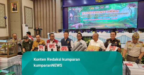 Sindikat Jual Komodo ke Thailand Dibongkar: 6 Orang Ditangkap, Raup Cuan Rp 10 M