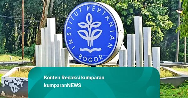 16 Mahasiswa IPB Terlibat Pelecehan Seksual Grup Chat Disanksi Skors 1 Semester