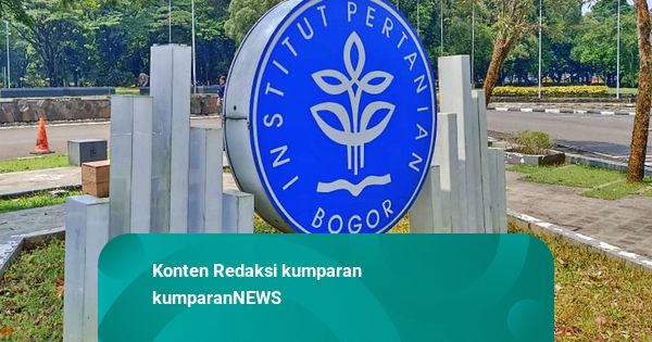 BEM IPB Desak Kampus Sanksi Mahasiswa Pelaku Pelecehan di Grup Chat