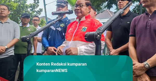 Pramono Siapkan Pasukan Khusus untuk Tangani Ikan Sapu-sapu di Jakarta
