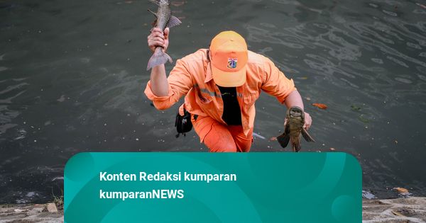 Saat Pemprov DKI Gelar Operasi Anti Ikan Sapu-sapu Besar-besaran