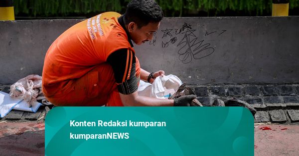 Operasi Serentak di 5 Wilayah, Pemprov DKI Tangkap 6,98 Ton Ikan Sapu-sapu