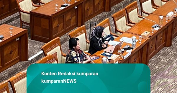 Catatan Ahli UI soal Aset Dirampas di RUU Perampasan Aset: Pembuktiannya Rendah
