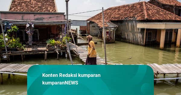 Foto: Banjir Rob Rendam Permukiman, Warga Demak Bertahan di Tengah Genangan