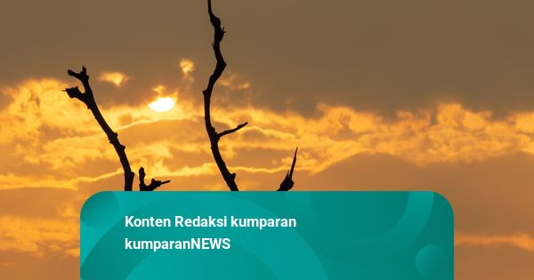 Prabowo Minta BMKG Gencarkan Modifikasi Cuaca Hadapi El Nino Saat Kemarau