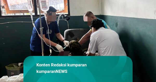 Momen Satgas Cartenz Buru Anggota KKB di Puncak Jaya, 1 Orang Ditembak