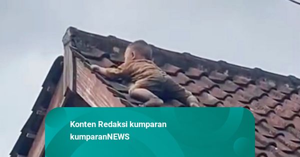 Ditinggal Ibu ke Kamar Mandi, Balita di Lombok Tiba-tiba Ada di Atas Genting