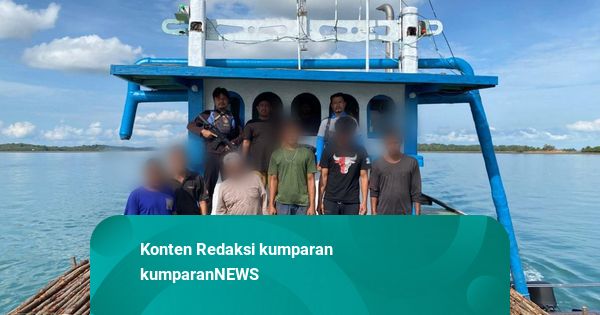 Polda Kepri Gagalkan Penyelundupan 12 Ribu Batang Kayu Bakau ke Singapura