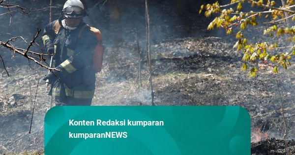 Kebakaran Hutan Jepang Meluas, 1.400 Petugas Damkar Dikerahkan