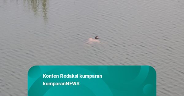Mayat Pria Tanpa Busana Ditemukan Mengambang di Semarang, Diduga Dibunuh