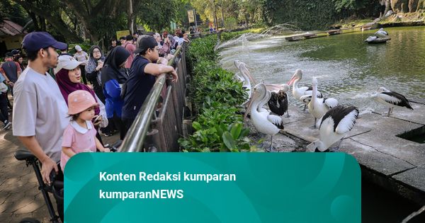 Foto: Momen Libur Panjang, Warga Berkunjung ke Kebun Binatang Ragunan