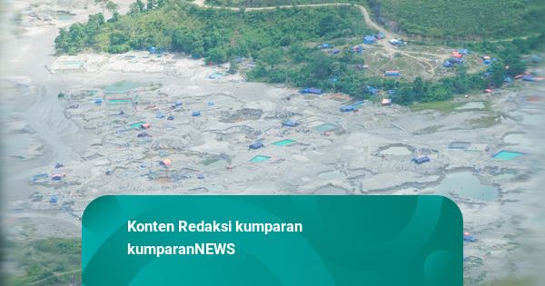 Satgas PKH & TNI Tertibkan Tambang Emas Ilegal di Maluku, 16 WNA Diamankan