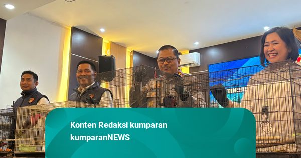 Polda Jateng Gagalkan Penyelundupan Burung Kasturi, 3 Nelayan Jadi Tersangka