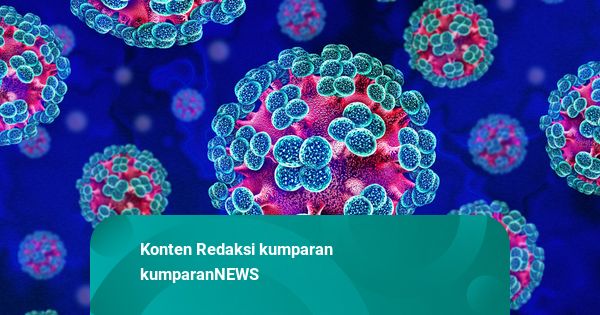 Kemenkes Temukan WNA Kontak Erat Hantavirus: Hasil Negatif, Masih Dikarantina