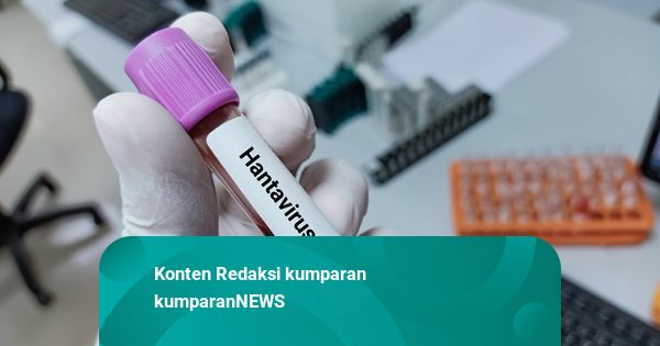 Fakta-fakta Hantavirus yang Tewaskan 3 Orang di Kapal Pesiar