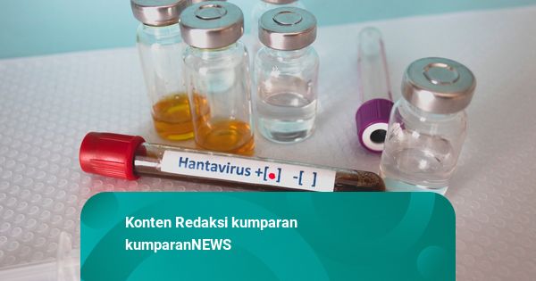 Antisipasi Masuknya Hantavirus ke RI, Menkes Bicara ke WHO untuk Skrining