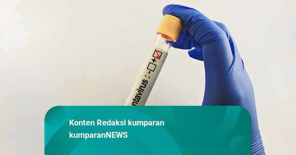 Tentang Virus Andes, Satu-satunya Jenis Hantavirus yang Menular Antarmanusia