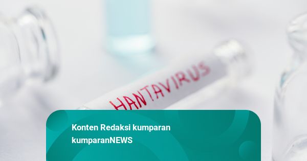 Pimpinan Komisi IX Minta Pemerintah Perketat Pintu Masuk RI, Cegah Hantavirus