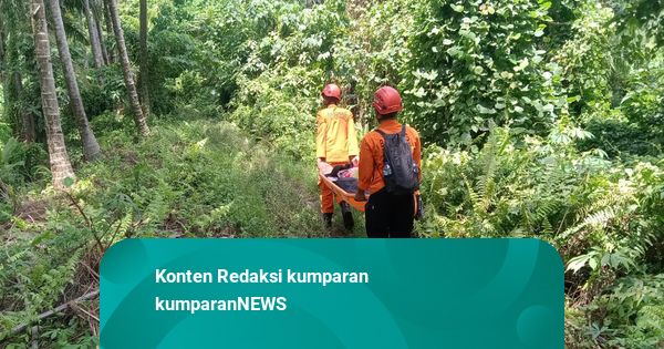 BNPB: 5 Pendaki Luka-luka Akibat Erupsi Gunung Dukono