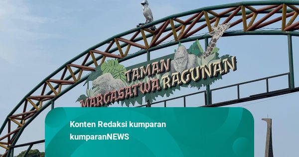 Cerita Warga Habiskan Libur Panjang di Ragunan: Teduh, Murah hingga Tak Sumpek