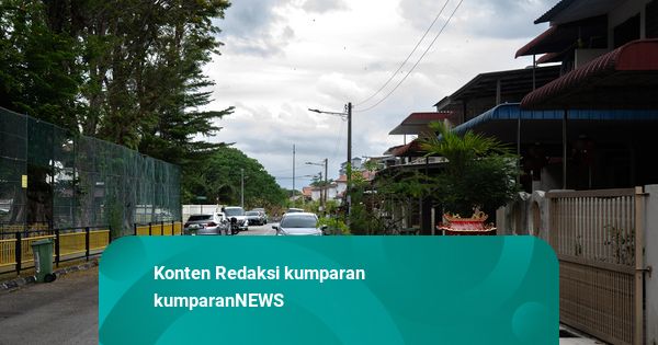 Foto: Primata Langka Malaysia Bertahan Hidup di Tengah Kota