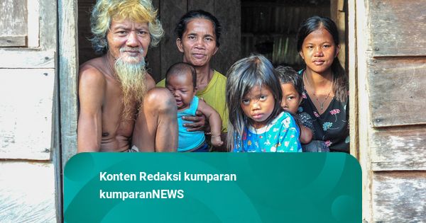 Foto: Sulitnya Berburu Hewan, Kini Orang Rimba Mulai Bercocok Tanam