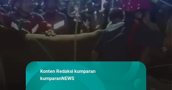 Damkar Evakuasi Sapi Kabur Lalu Nyangkut di Gorong-gorong Johar Baru Jakpus