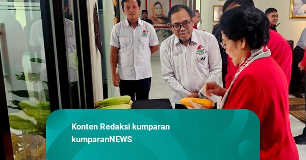Megawati Terima Hasil Panen Raya Jagung GNTI, Simbol Ketahanan Pangan Nasional