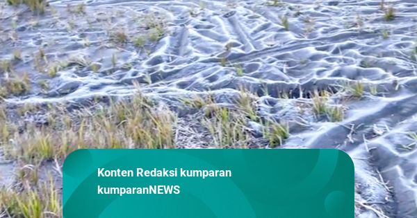 Mengenal Fenomena 'Salju' Embun Upas yang Jadi Daya Tarik Wisata Gunung Bromo